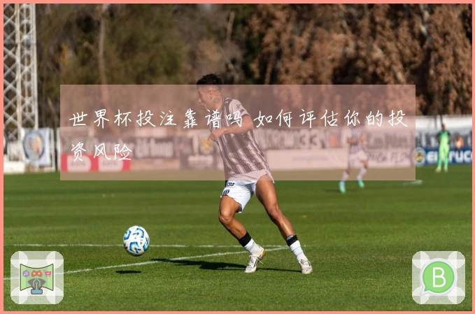 世界杯投注靠谱吗 如何评估你的投资风险