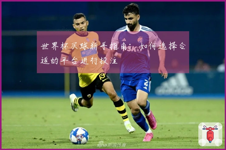世界杯买球新手指南：如何选择合适的平台进行投注
