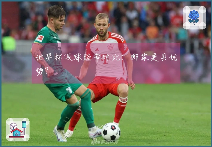 世界杯滚球赔率对比：哪家更具优势？