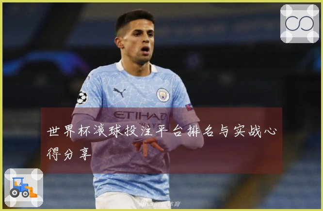 世界杯滚球投注平台排名与实战心得分享